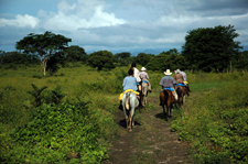 Costa Rica-Pacific Coast-Conquistadores Odyssey Explorer